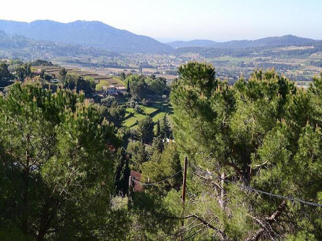 183 D36 LE LAVANDOU_000075.jpg